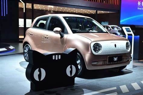 351KM ηλεκτρική μίνι EV αυτοκινήτων νέα ενέργεια Vehices 102km/h γατών Euler μαύρη για την κυρία