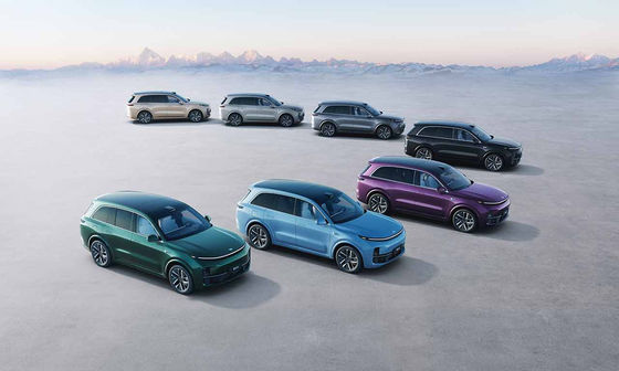 42.8kWh μπαταρία 6 κάθισμα ηλεκτρικό SUV